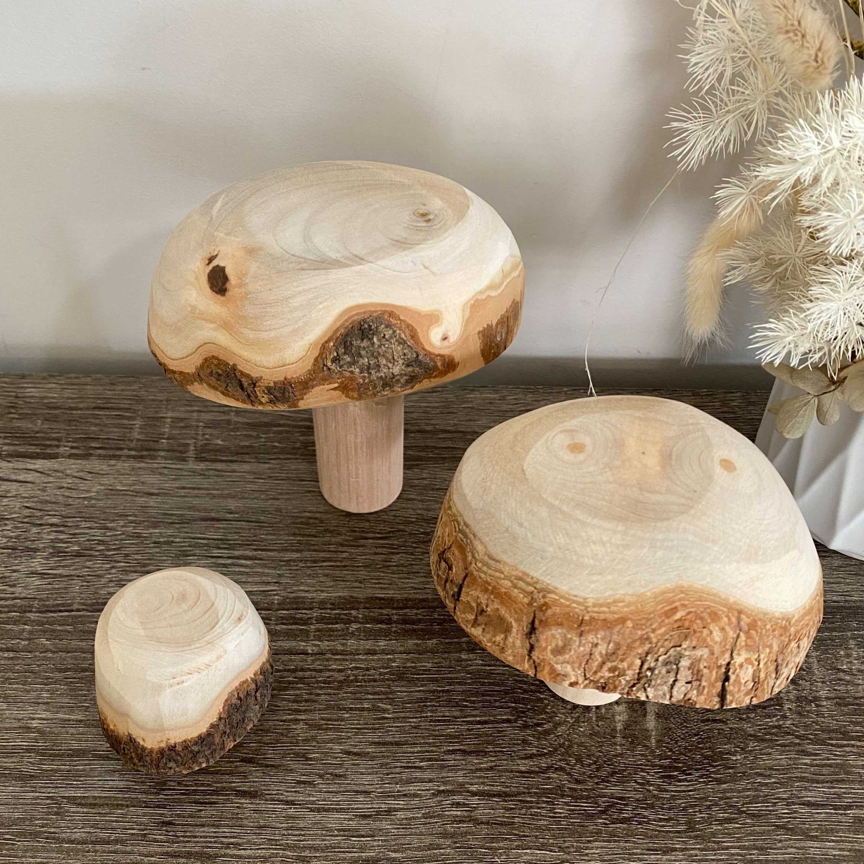 Red Double Sided Chunky Wooden Mushrooms (Set Of 3)