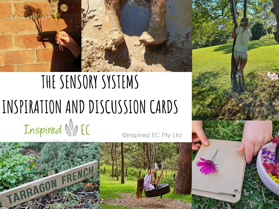 The Sensory Systems Inspiration and Discussion Cards